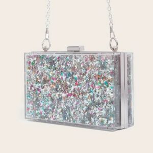 Acrylic Multi Silver Bag