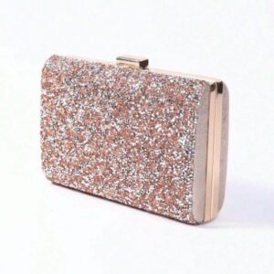Klara Champagne Gold Petite Bag