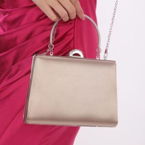 Candice Nude Silver Frame Bag
