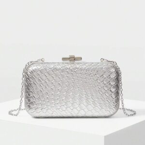 Tegan Silver Bag