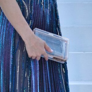 Transparent Clutch Bag