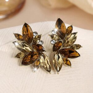 Bella Brown Crystal Earrings Cluster